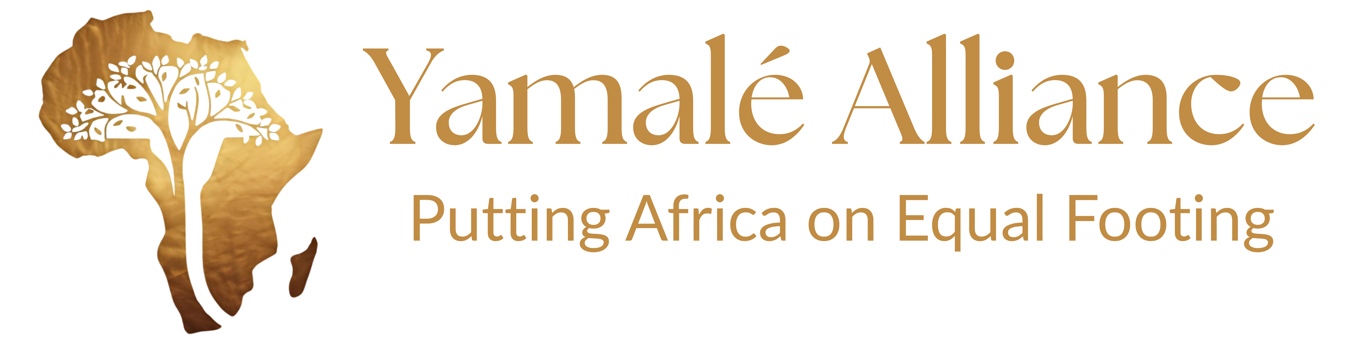 Yamalé Alliance — Putting Africa on Equal Footing