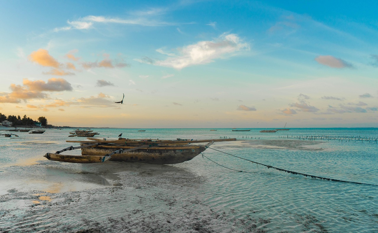 Traditional dhow boats on the warm golden waters off the coast of Zanzibar, East Africa